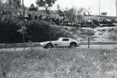 1965_bernasconi_vittorio_ferrari_250_gt_3000_catgt_20190504_1157775926