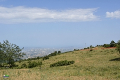 AFS_02636