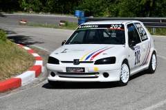 AFS_18336