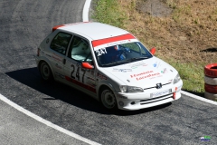 afs_0847_20210819_1362699613