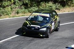 afs_0873_20210819_2078430987