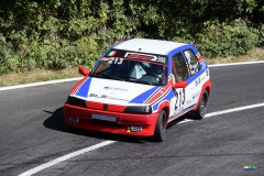 afs_0876_20210819_1229556218