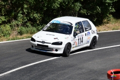 afs_0954_20210819_1038907040