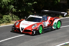 afs_0981_20210819_1396306229