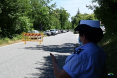 afs_1042_20210819_1772515735