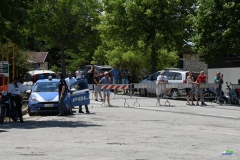 afs_1070_20210819_1756370010