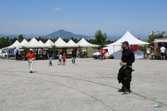 afs_1119_20210819_1140637164