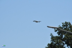 AFS_16493